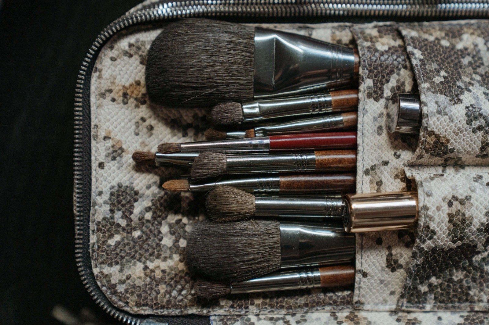 How to Choose Vegan and Cruelty-Free Brushes in 2026